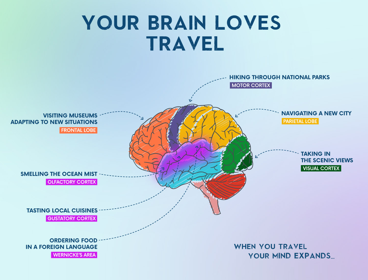 How Traveling Changes Your Brain