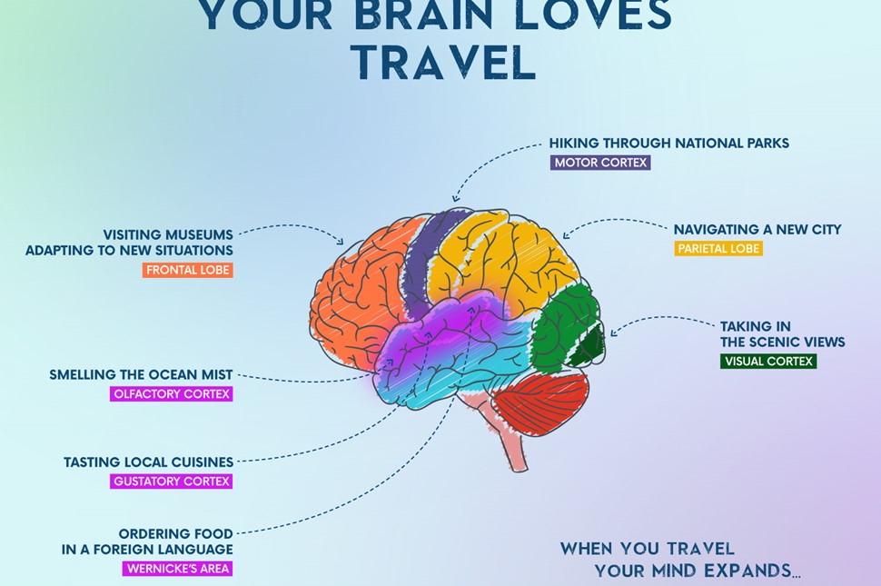 Travel Changes Your Brain