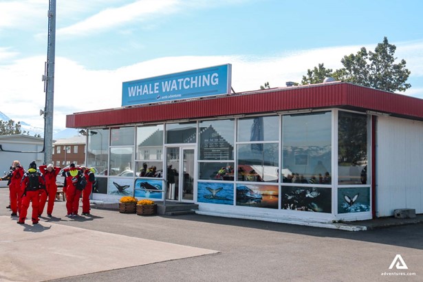 whale watching ticket office in akureyri