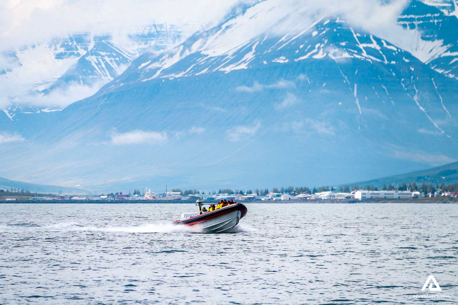 Whale Watching Rib Boat Tour North Iceland
