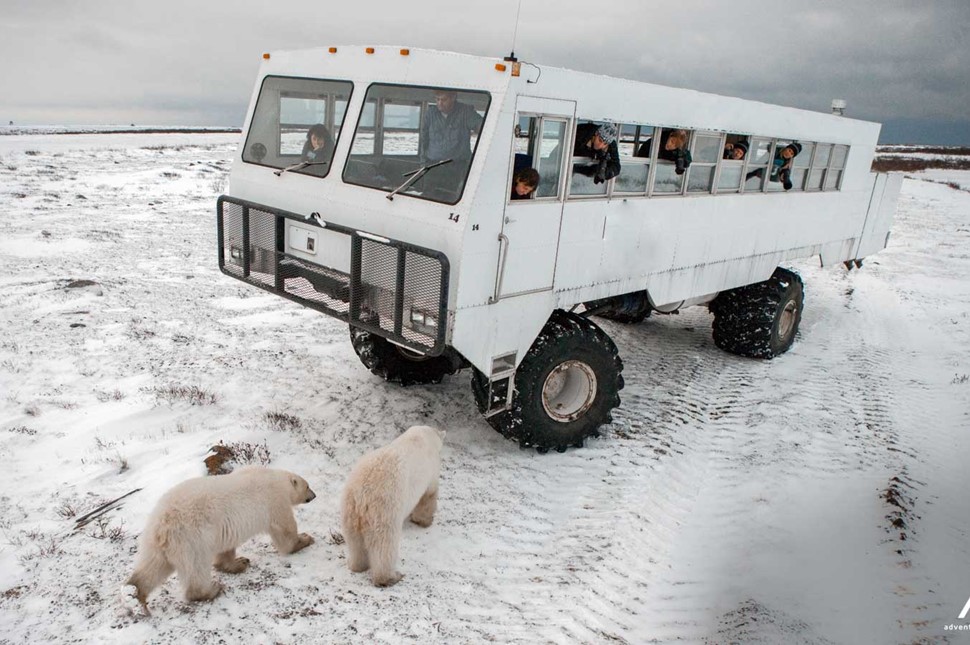 modified tundra buggy bus in manitoba