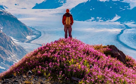 The Top 10 Largest Glaciers in the World to Hike The Top 10 Largest Glaciers in the World to Hike