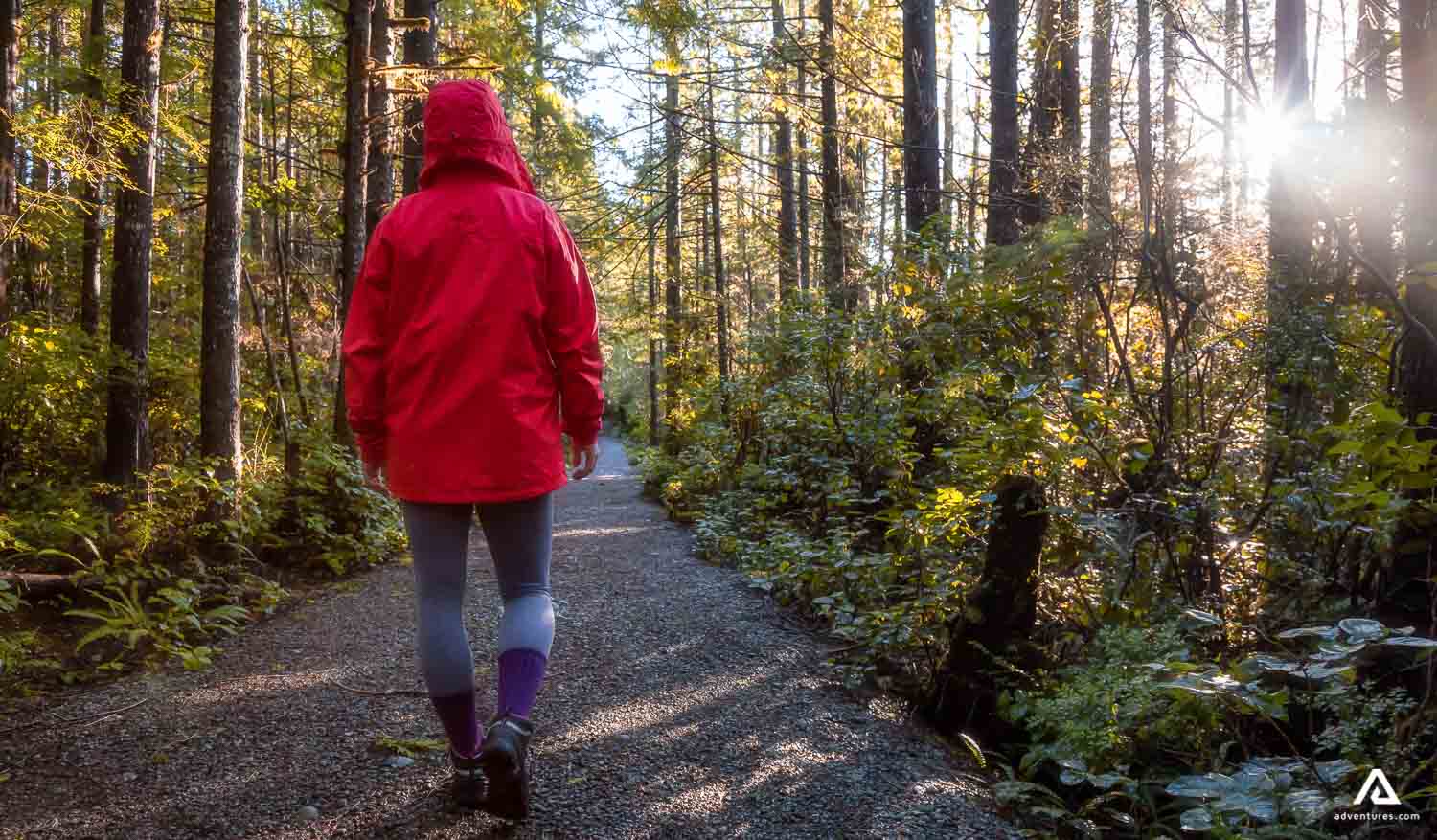 Girl runner in the forest