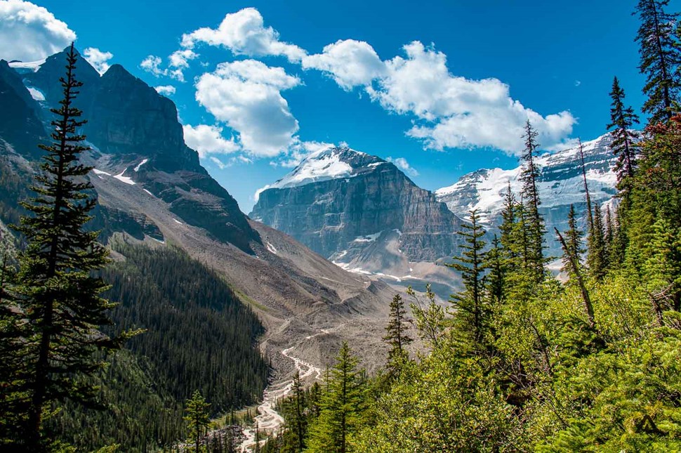 Alberta Canada Jasper National Park Summer Landscape