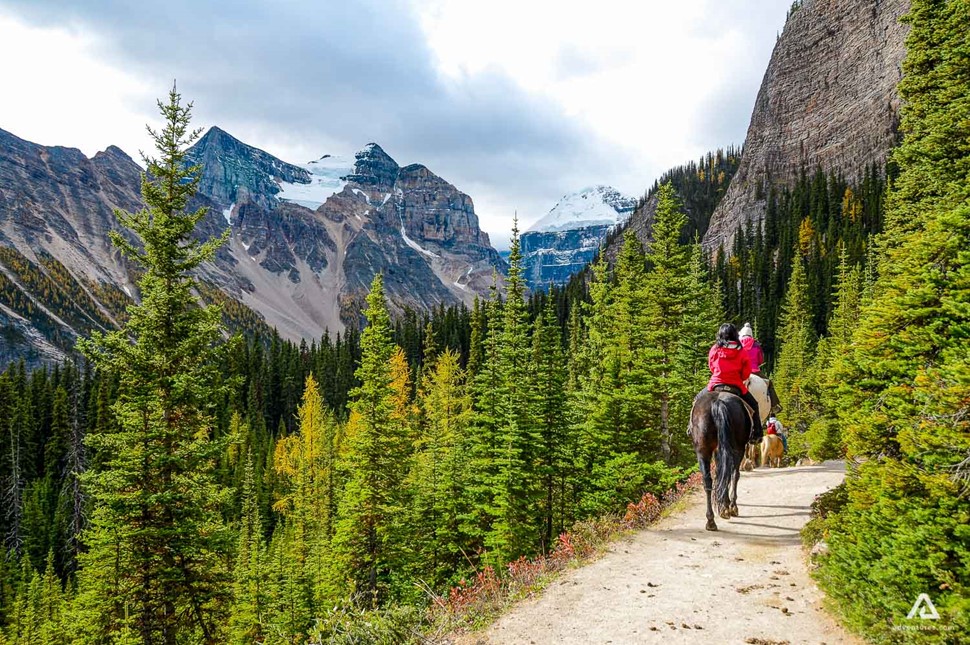 Horseback Riding Trail In Alberta Rockies