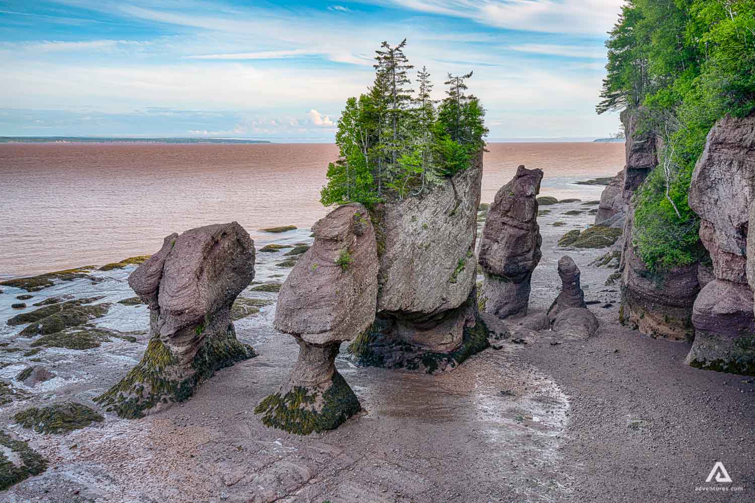 Hopewell Rocks Park