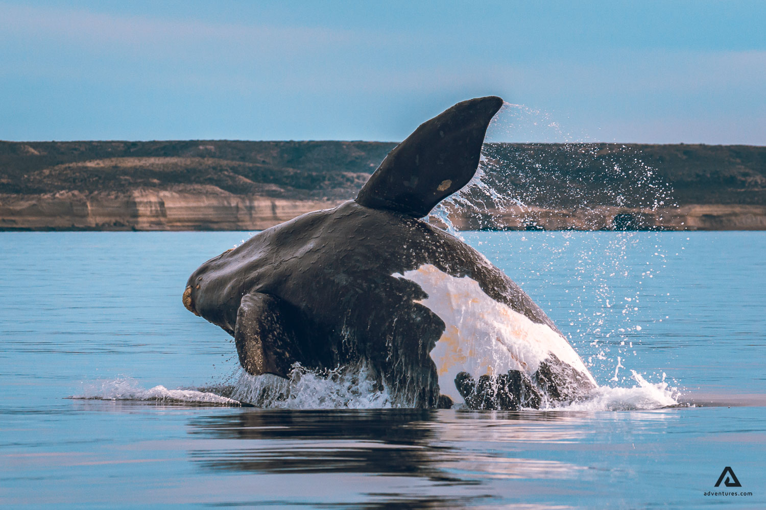 New Brunswick, Canada
