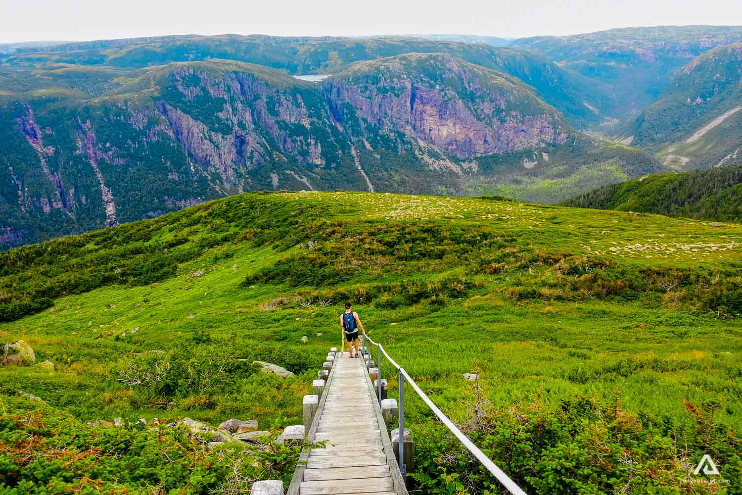Path at Gros Morne National Park