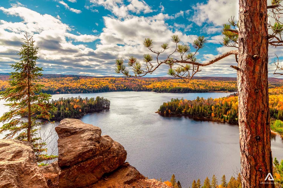 Algonquin park forest and lake in colorful autumn