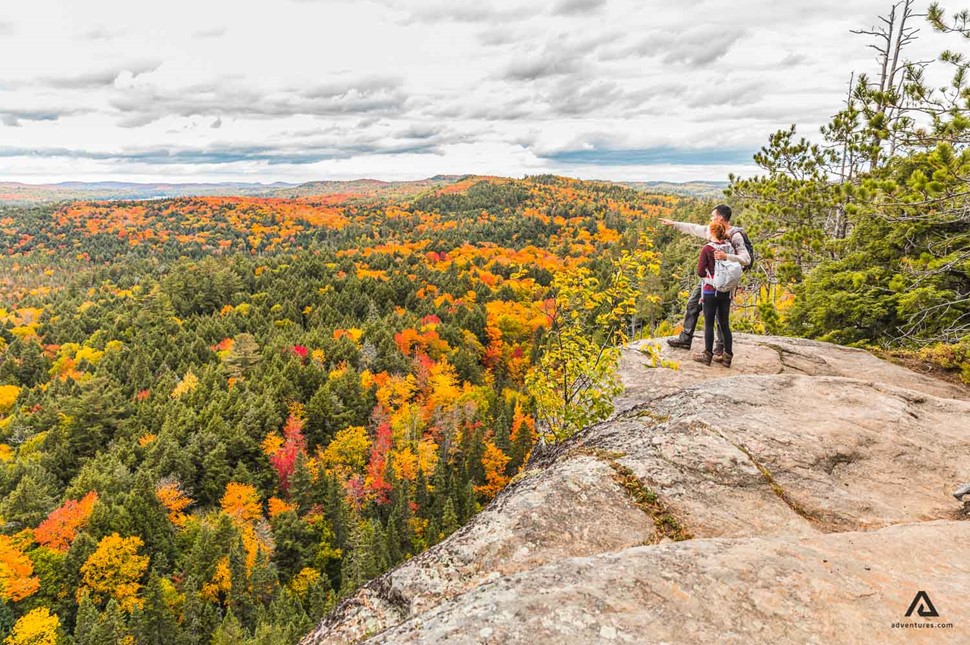 Couple in Algonquin Provincial Park watching above tree line