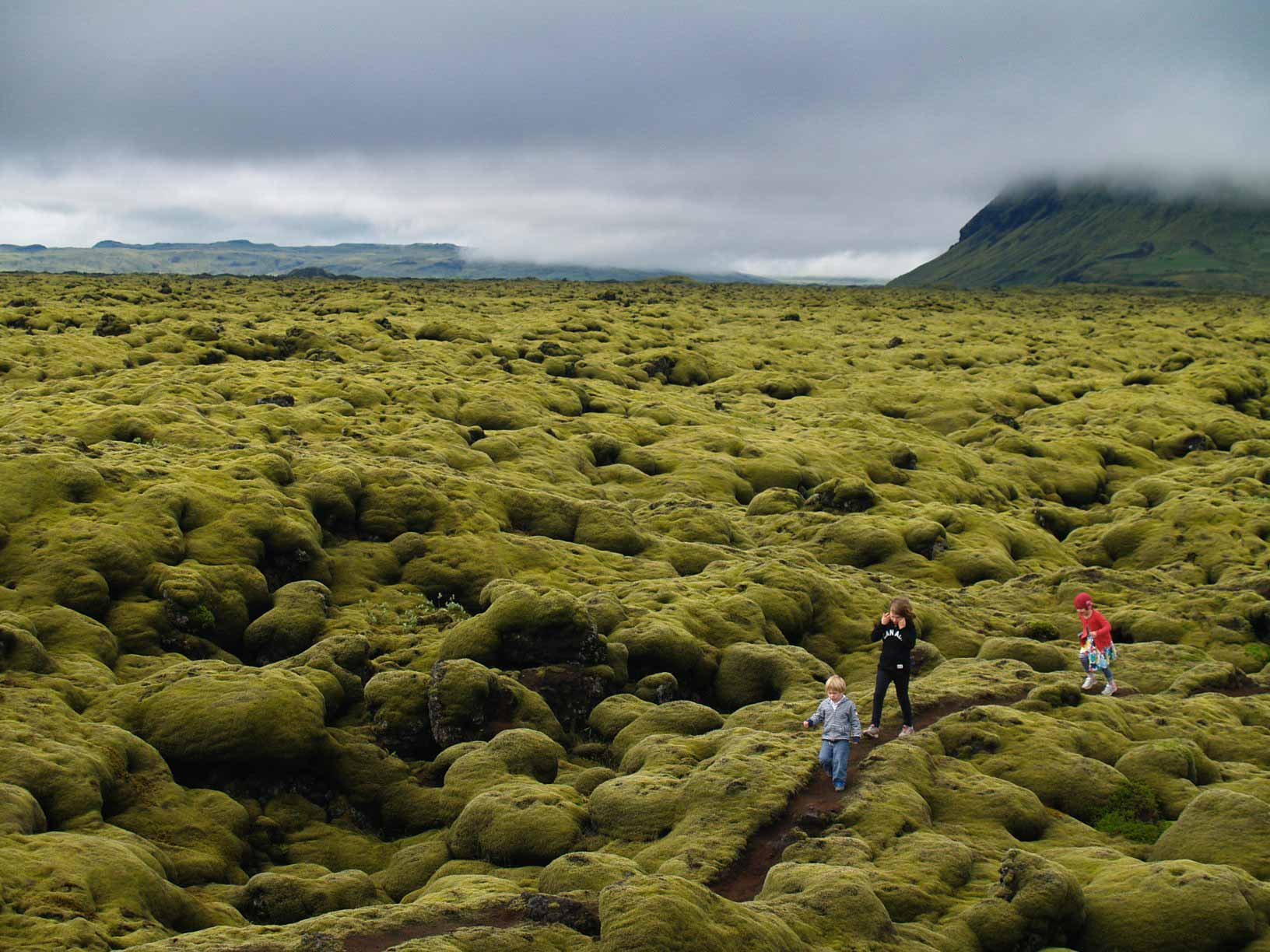 Eldhraun lava field in Iceland