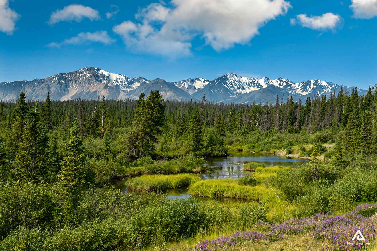 Jervis River in Kluane National Park