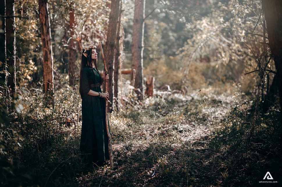 Elf Woman in the Forest