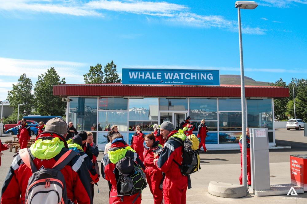 Whale Watching Arctic meeting point