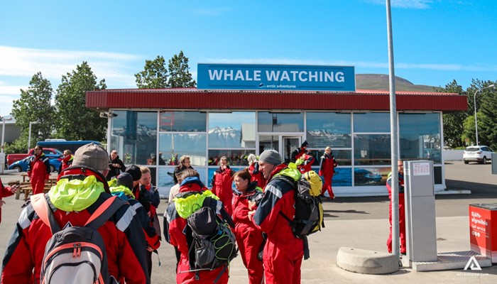 Whale Watching Tour meeting point in Iceland