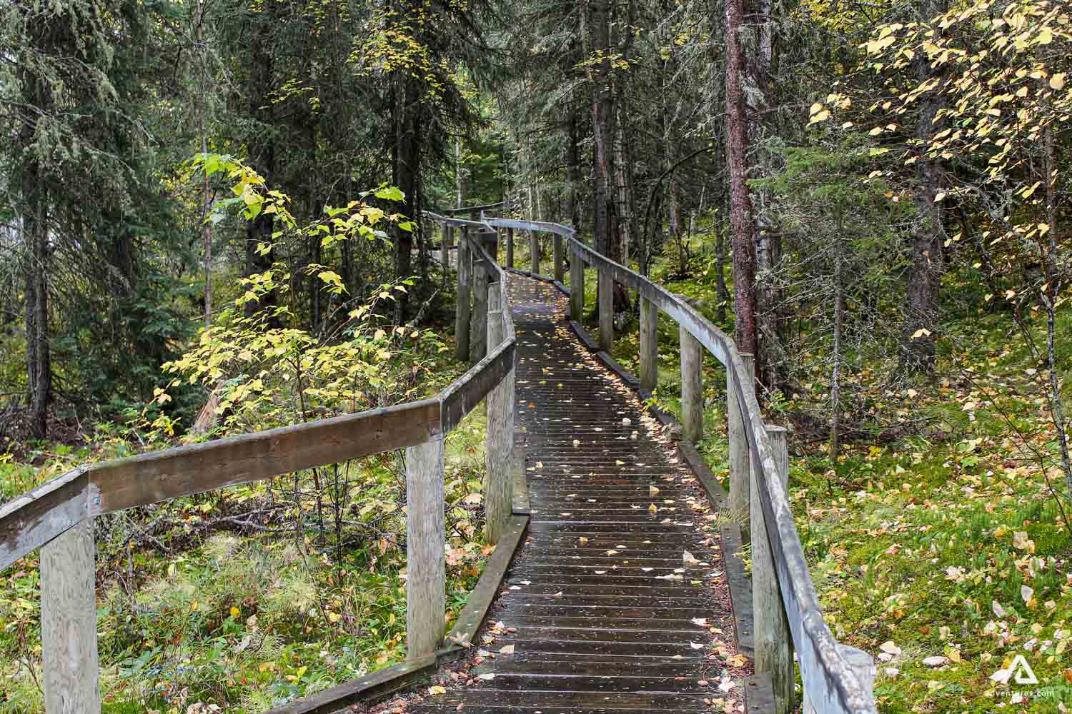Trail in Prince Albert National Park