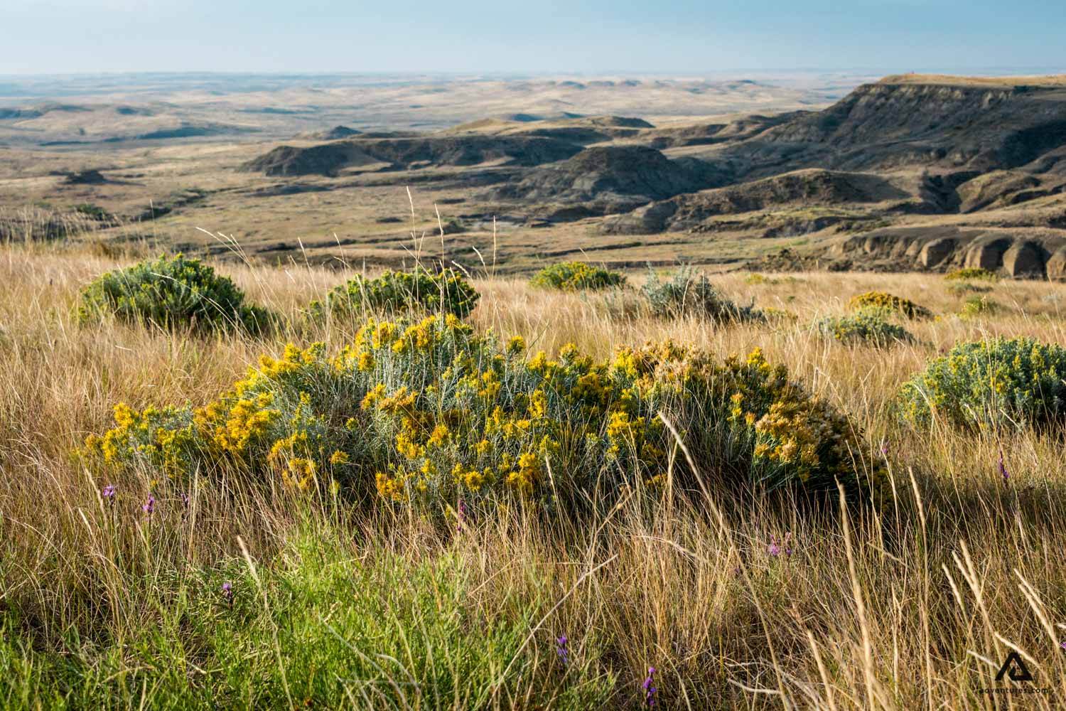 Grasslands Natonal Park in Canada
