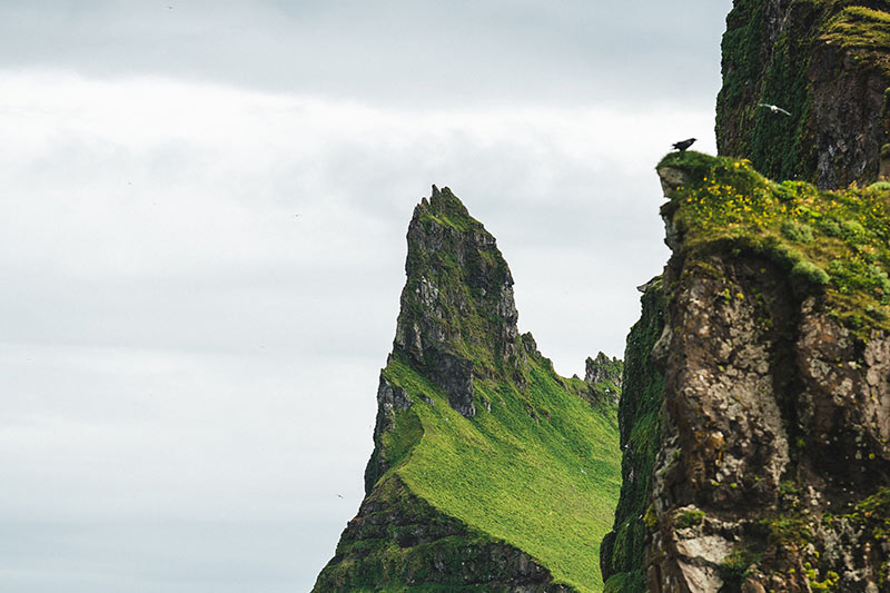 Hornbjarg Cliffs view in Westfjords