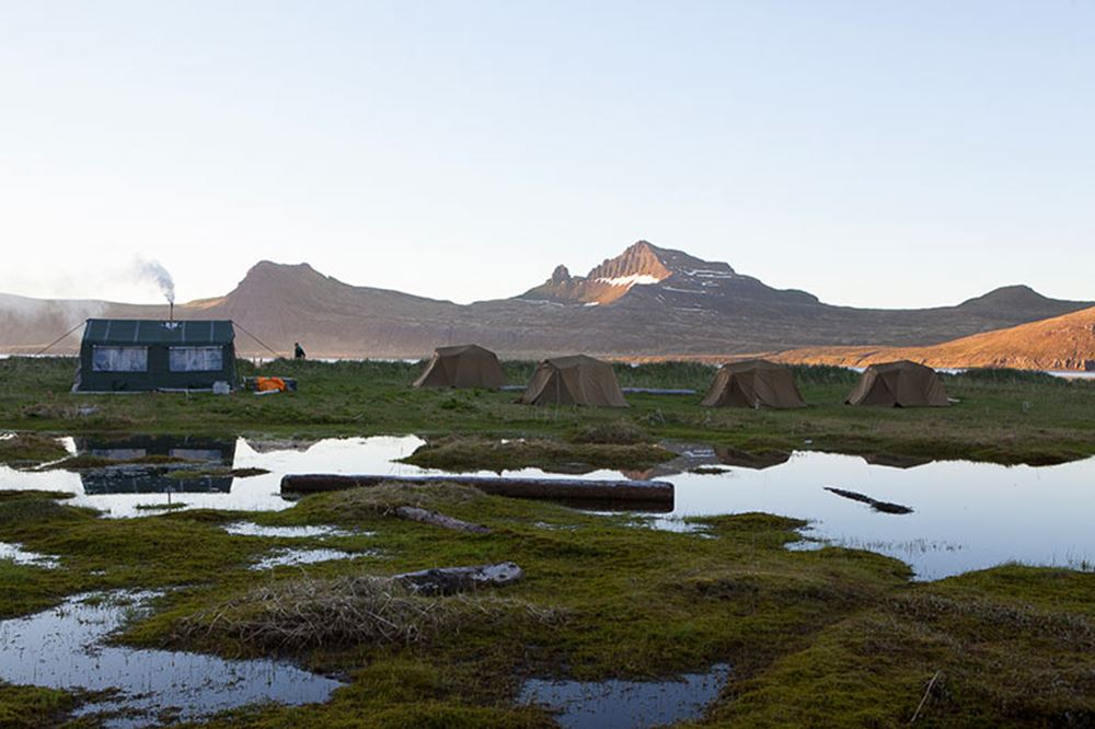 Camping site in Westfjords