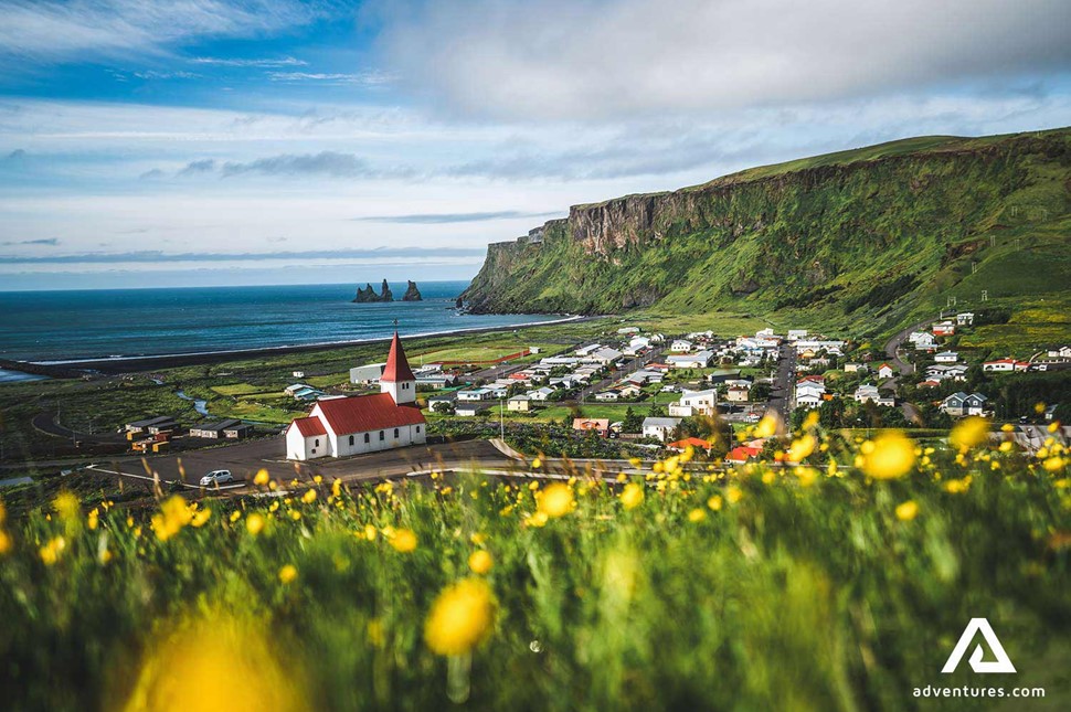 yellow summer flowers near church in Vik in iceland