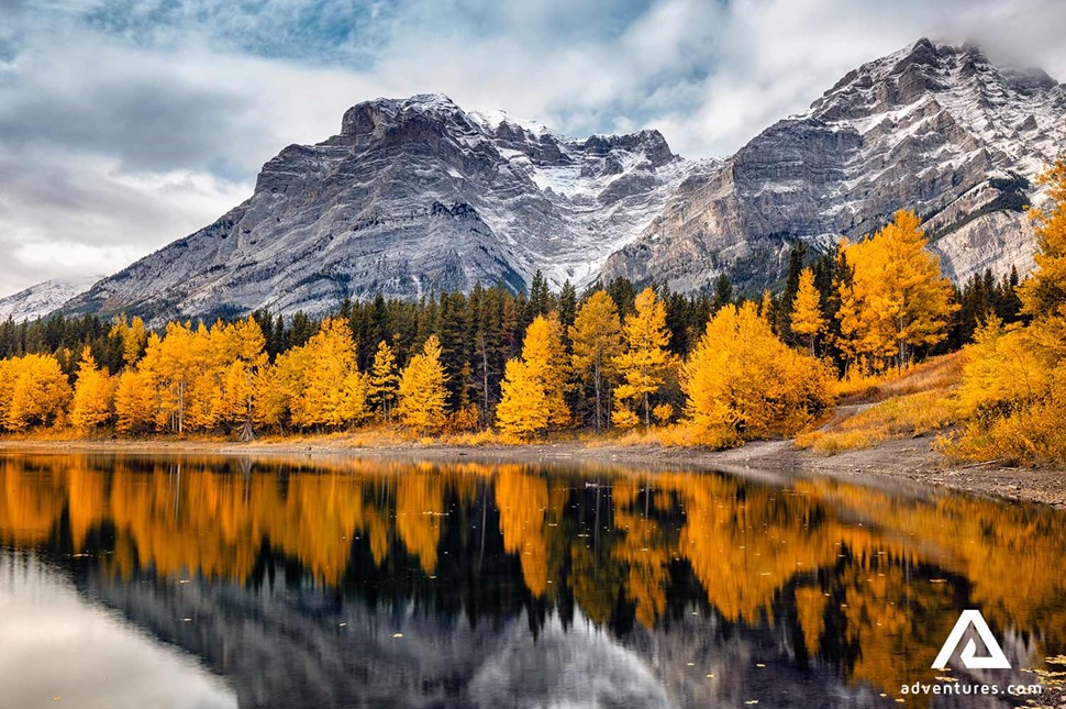 autumn trees reflection on a lake in canada